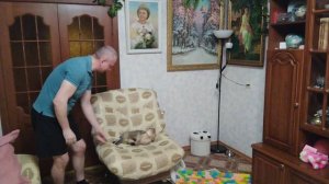 Котёнок Бакс играет. Узнаёт окружающий мир.