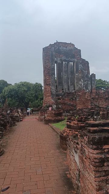 Бирманцы забрали всё. Но не это. смотреть онлайн