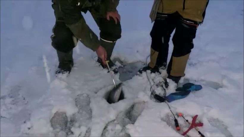 Открытие ледового сезона начинаем с поимок на поставушки. Клёвое место, Лосиный остров, нижний. смотреть онлайн