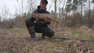 НА ЛЕСНОЙ ЗАКОРЯЖЕНОЙ РЕКЕ ТАСКАЮ ЩУК ОДНУ ЗА ДРУГОЙ! Рыбалка на спиннинг 2025.