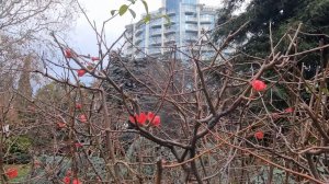 ЯЛТА, ПОХОЛОДАЛО