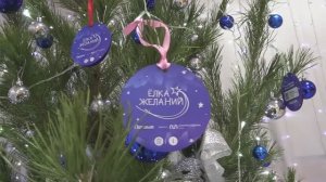 Ёлка желаний_2025