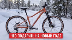 Вариант новогоднего подарка от HAGEN