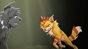 коты воители огник „заккз"