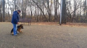 Игорь Алтайский ОКД