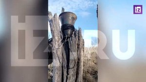 Великая наша держава: боевики ВСУ сдают позиции под гимн России