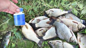 Дедушка с пруда рассказал рецепт отвара из СССР на карася. Теперь ловим больше всех любом водоеме!