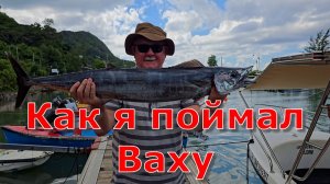 Как я поймал Ваху. Рыбалка на Сейшелах. Острова Маэ и Силуэт.