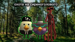 работа в scp (1)(серенаголовый)