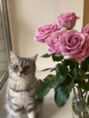 Добрый вечер ❤️🌹😀🍒🍓❤️❤️❤️