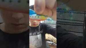 небольшой предновогодний разговор часть 2