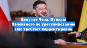 Депутат Чепа: Пункты Зеленского по урегулированию еще требуют корректировки