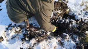 А думали, что монета #поискмонет #монеты #equinox900 #equinox #minelab #металлоискатель #монеты