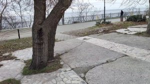 Анапа. Потеплело и пасмурно. 26 декабря 2025.