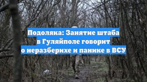 Подоляка: Занятие штаба в Гуляйполе говорит о неразберихе и панике в ВСУ