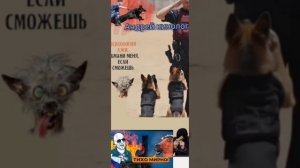 Милиёнеры сопроводилки.