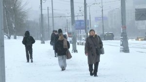 Примерно треть месячной нормы осадков выпала минувшей ночью в столичном регионе
