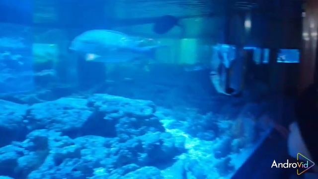 25.12.26 смотреть онлайн