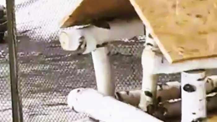 Кормушка для птиц