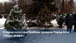 В парке культуры Тамбова провели Парад ёлок «Твори добро»