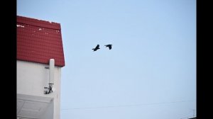 Воркута. Фотовыпуск #2