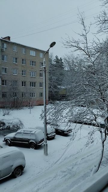 PXL_20251226_094010304