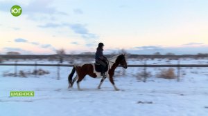 Клуб Эквитерра готовится встретить Год Лошади