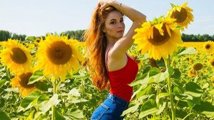 Проект ProShow Producer Я выпью женщины за вас