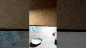 С днем рождения, Носок Live