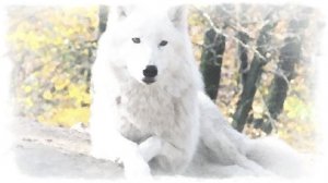 Осень Олег Юргаев и ИИ