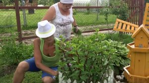 6 соток 15 июня 2021 года. Хроника.