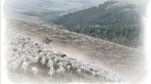 Угнетённые политическая басня  Олег Юргаев и ИИ