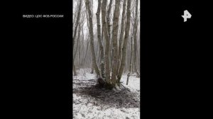 ‼🇷🇺⚡️Сотрудники ФСБ задержали 18-летнюю студентку, пытавшуюся убить офицера