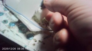 Включение мотора судомодели глиссера от батарейки CR 2032