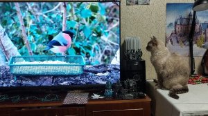 ЕДЕМ НА УТРЕННИК 🎄 В ДРАМ ТЕАТР // ДЕЛА НА КУХНЕ // КРАСИВЫЙ ФЕЙЕРВЕРК