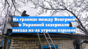 На границе Венгрии и Украины задержали поезда из-за возможности взрыва