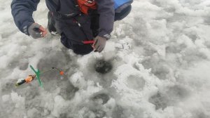 video5366298689864240501