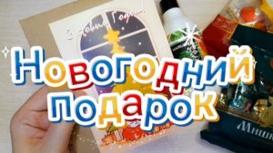 Новогодний подарок от Оли Степановой