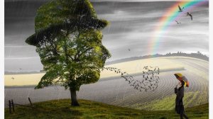 Интересная жизненная история