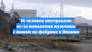Телеканал NHK: В Японии 15 человек пострадали от нападения в префектуре Сидзуока