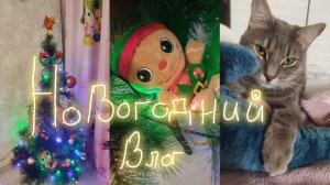 Новогодний влог. Собираем ёлку.