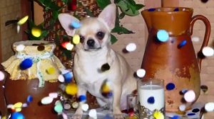 С Наступающим Новым 2026 годом !