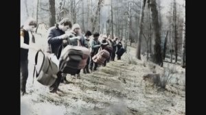 Живые фотографии от Алисы