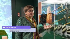 В Ярославском музее-заповеднике открылась выставка «Топоры и медведи»