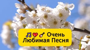 🎵🎸 Очень любимая песня из 70 х 📻💖🎸Колокола любви