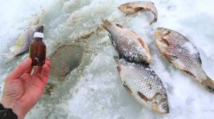Не клюет карась зимой? Есть 1 секрет которым пользуются ушлые рыбаки при ловле карася со льда.