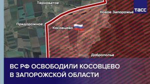 ВС РФ освободили Косовцево в Запорожской области