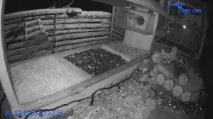 🔴 24 LIVE Кормушка