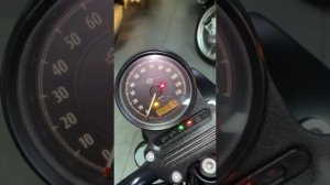 Harley Davidson XL883, 2021 год