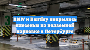BMW и Bentley покрылись плесенью на подземной парковке в Петербурге